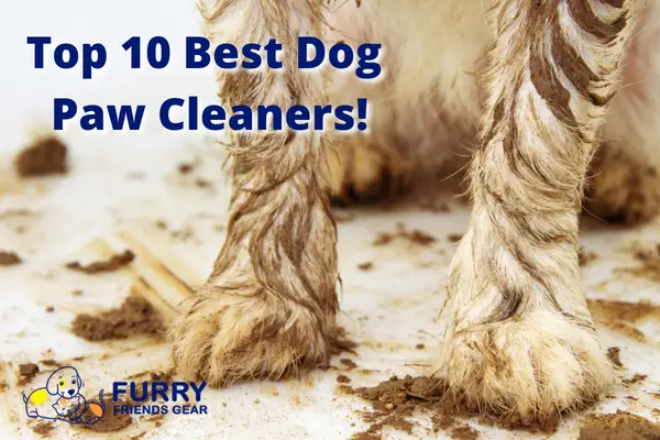 Best Dog Paw Cleaner: Our Definitive Guide