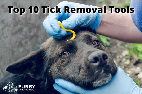 Best Tick Removal Tool For Dogs: Our Top 10 Unique Picks