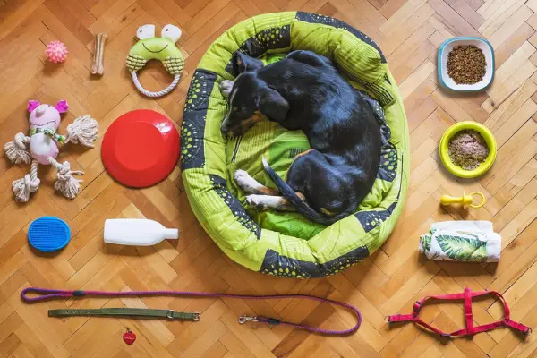 curled up dog sleeping in green dog bed