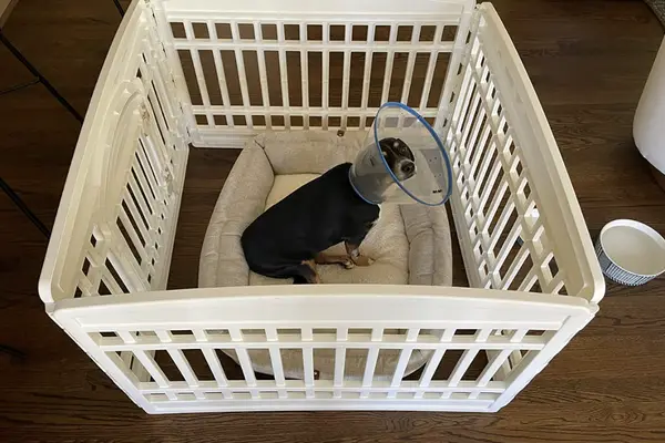 IRIS USA Dog Playpen