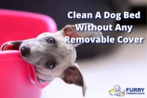 how to clean a dog bed without removable cover