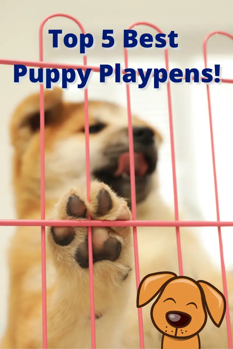 puppy playpen PIN