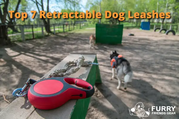 retractable dog leashes