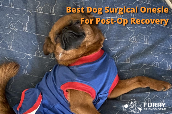 Best Dog Surgical Onesie For Post-Op Recovery