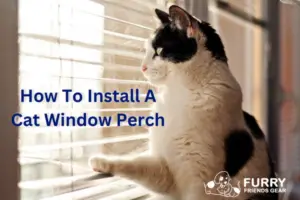 How To Install A Cat Window Perch