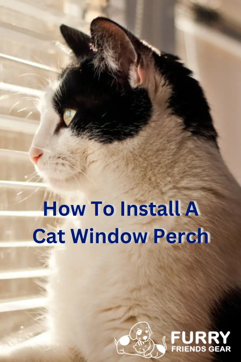 How To Install A Cat Window Perch PIN