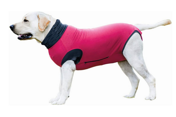 MAXX Dog Recovery Suit