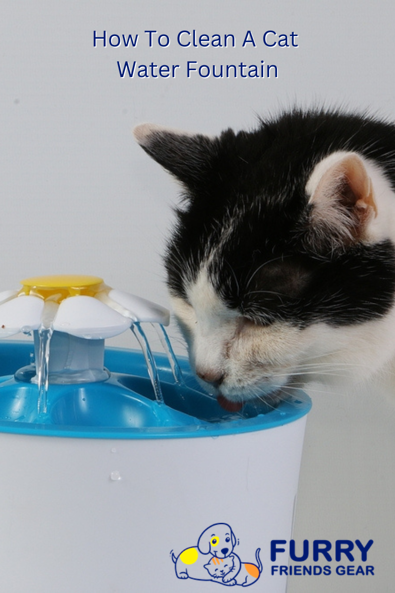 how to clean a cat water fountain PIN