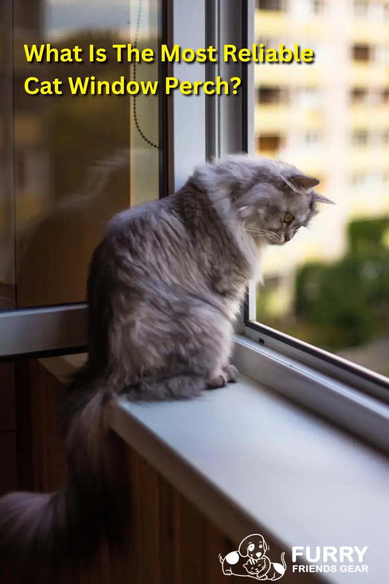 most reliable cat window perch PIN