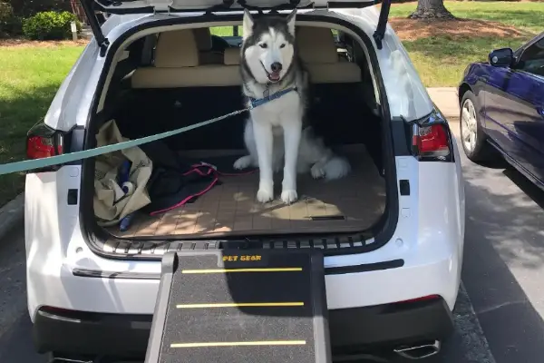 Pet Gear Tri-Fold Portable Pet Ramp