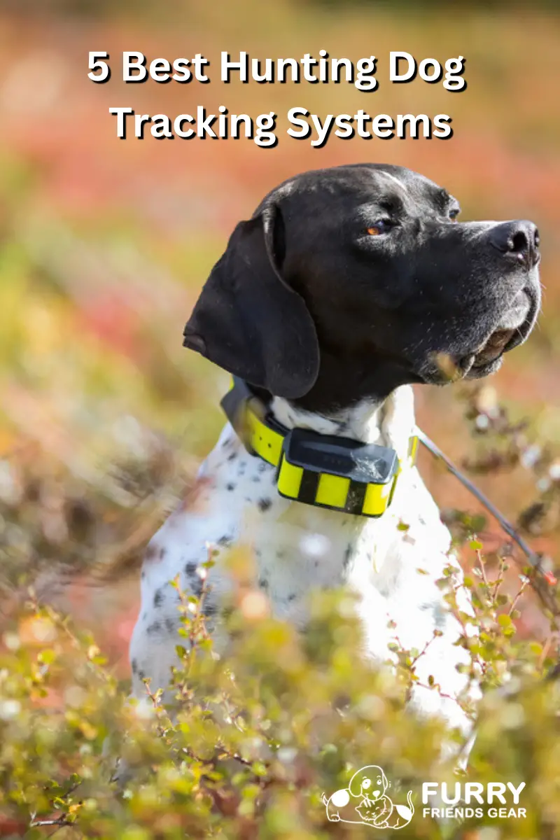 best hunting dog tracking systems PIN