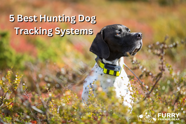 best hunting dog tracking systems