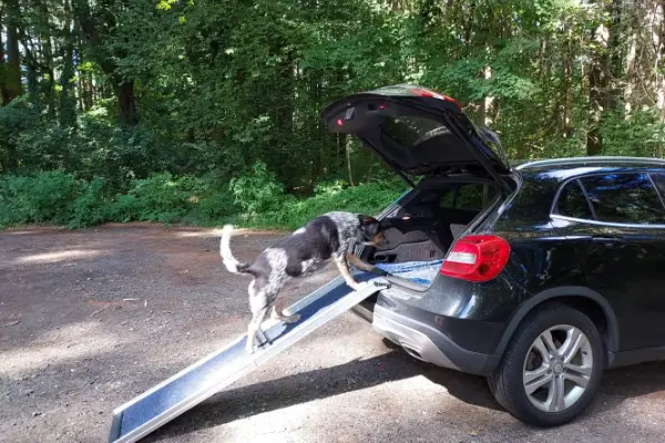 petsafe telescoping dog ramp