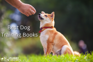 Best Dog Training Books