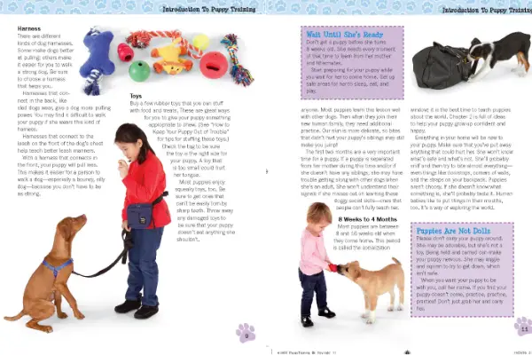 Puppy Training for Kids