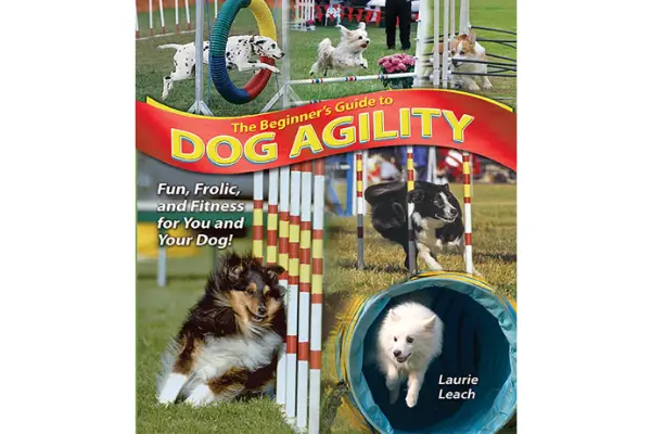 the beginner's guide to dog agility