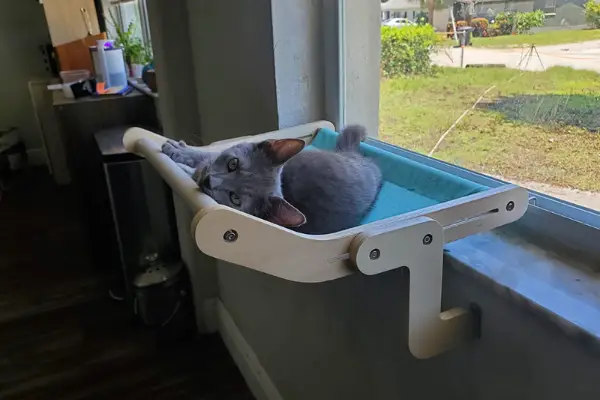 MEWOOFUN Cat Window Hammock Seat for Indoor Cats