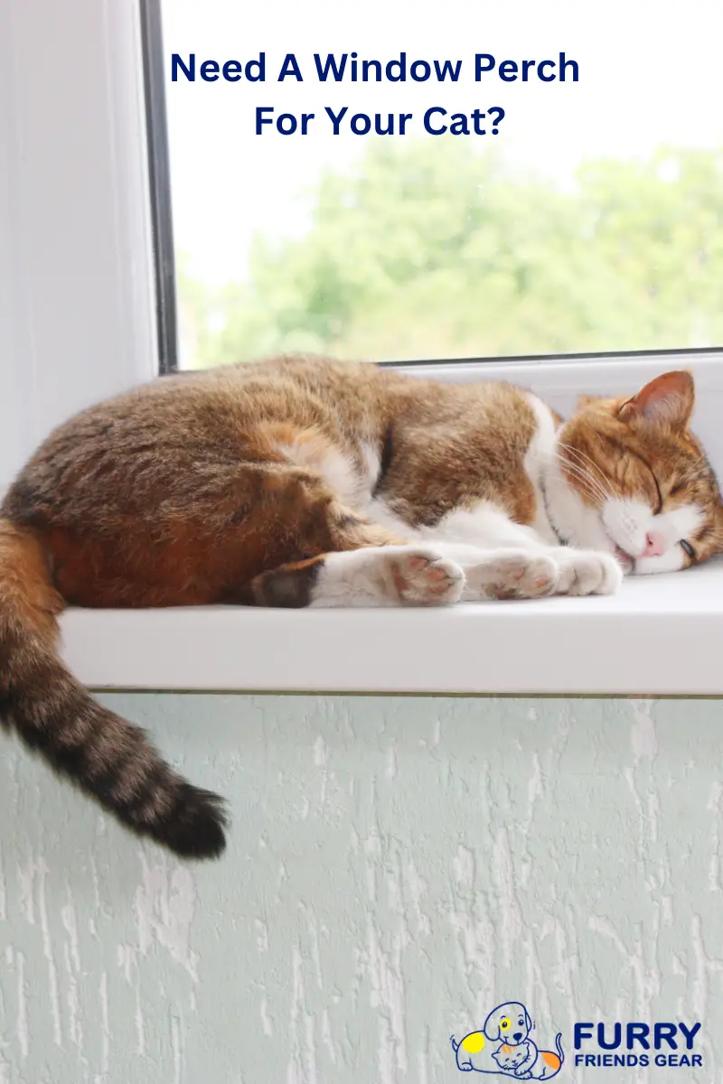 best cat window perches PIN