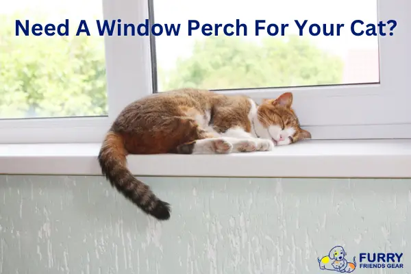 Best Cat Window Perches: Full Review Of Today’s Top Products